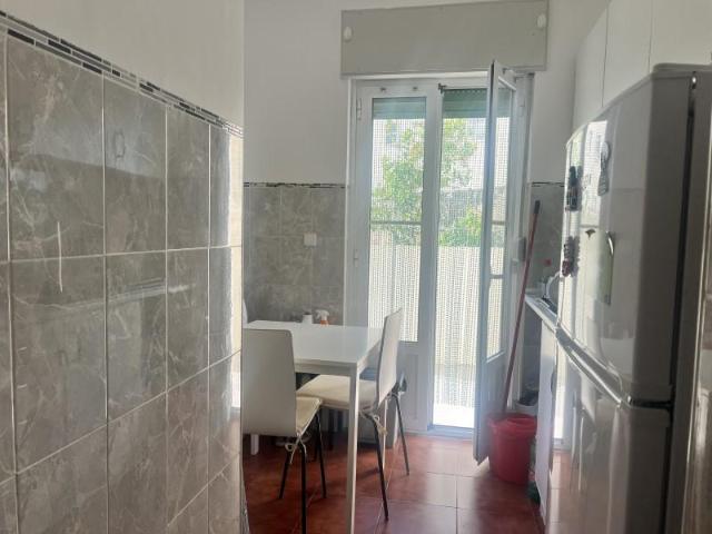 Apartamentos Lisboa Lisboa 1500 004 ELS102066658
