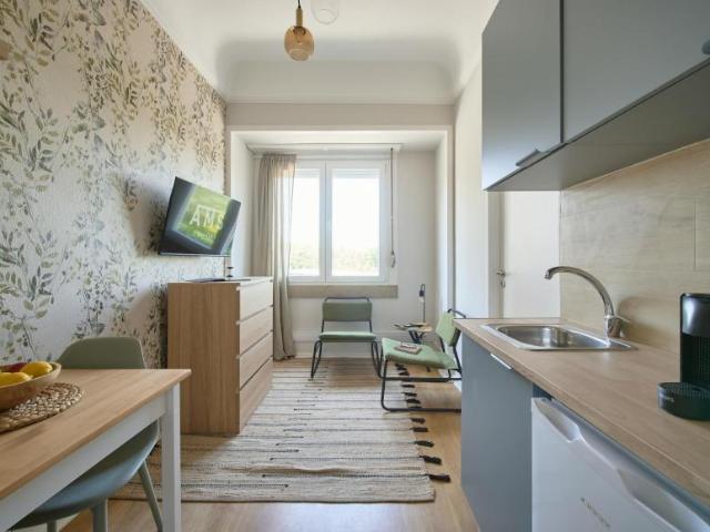 Apartamentos Lisbon Lisbon 1070 150 DS102436368