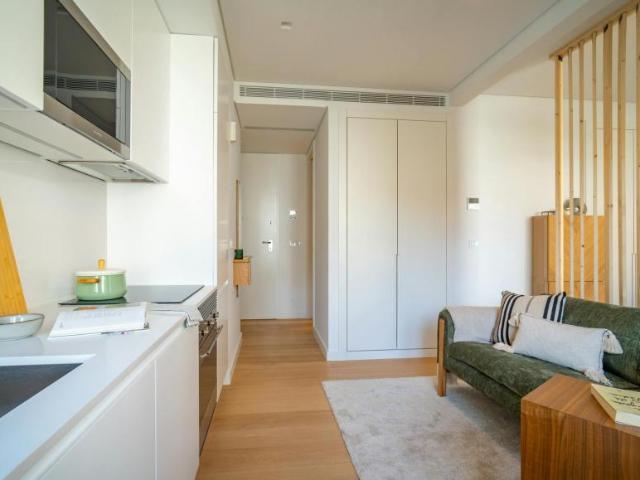 Apartamentos Lisbon Lisbon 1250 048 ES100178725