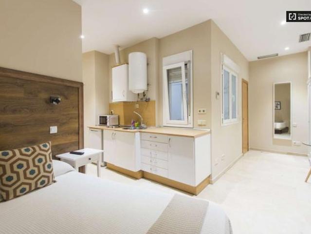 Apartamentos Madrid Madrid 44510794