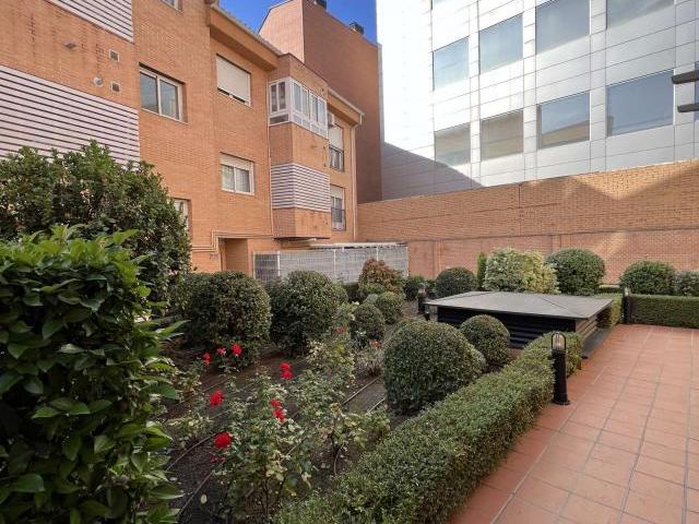 Apartamentos Madrid Madrid 55664301