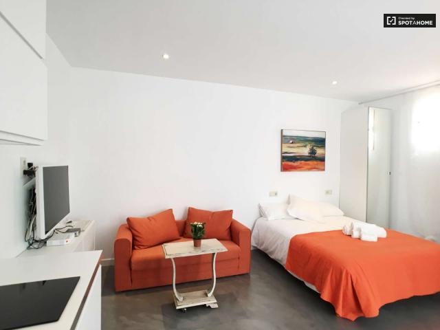Apartamentos Madrid Madrid 87549610