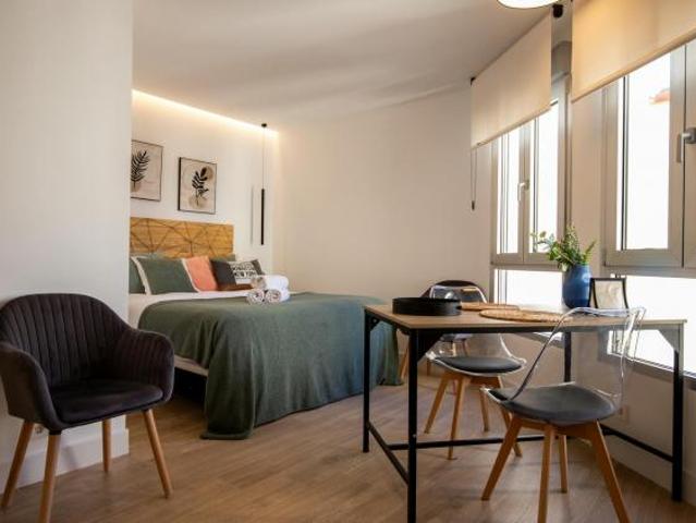 Apartamentos Madrid Madrid 87694673