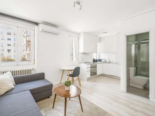 Apartamentos Madrid Madrid 91145284