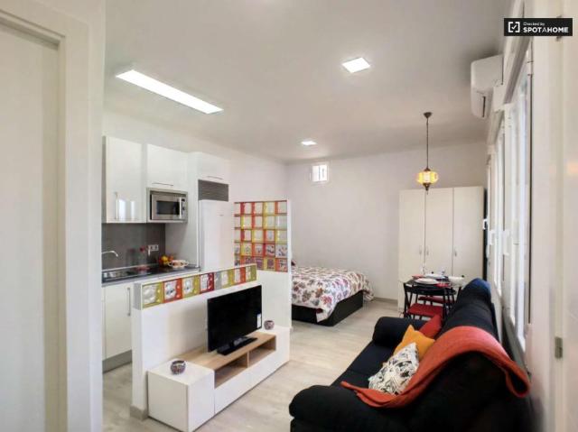 Apartamentos Madrid Madrid 91453744