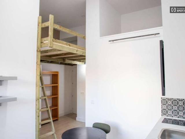 Apartamentos Madrid Madrid 91454232