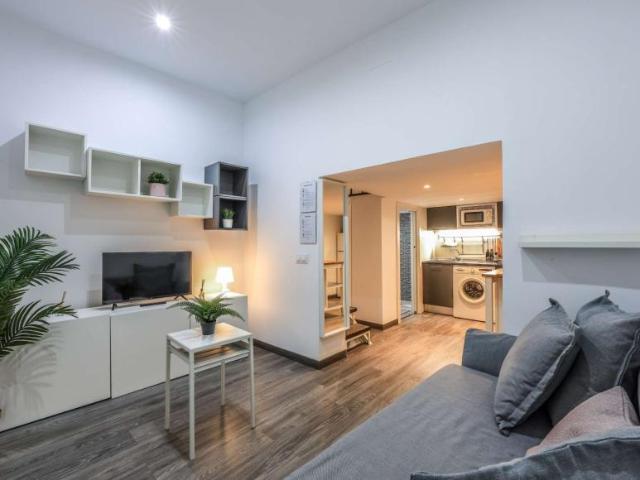 Apartamentos Madrid Madrid 91660216