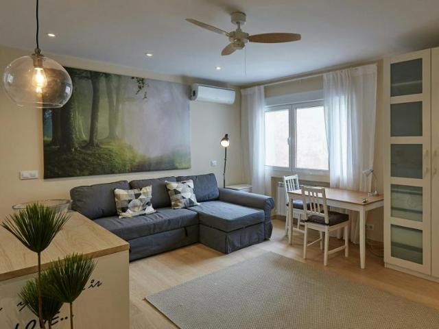 Apartamentos Madrid Madrid 95513761
