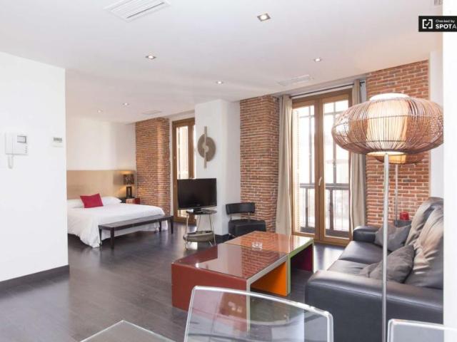 Apartamentos Madrid Madrid 96498449