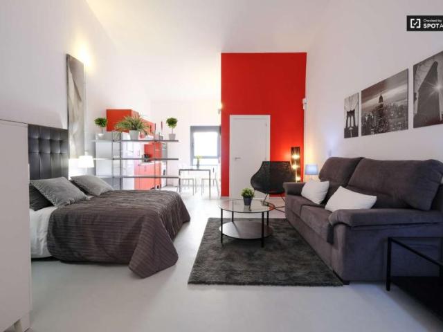 Apartamentos Madrid Madrid 96498507