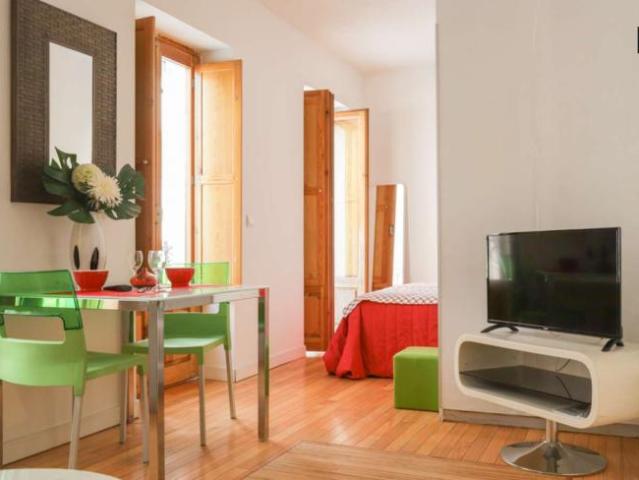Apartamentos Madrid Madrid 97132753