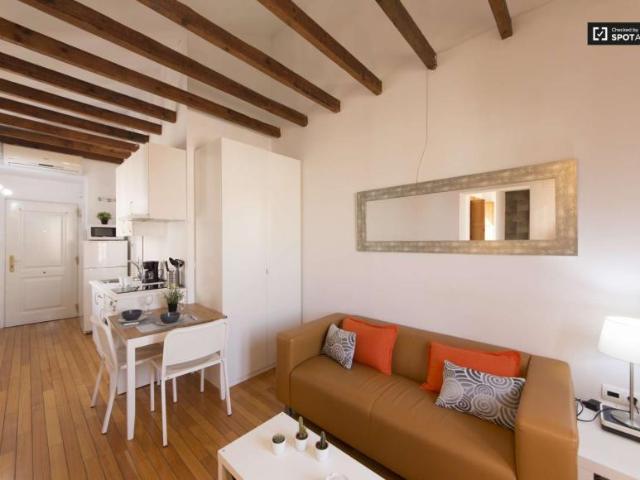 Apartamentos Madrid Madrid 97132784