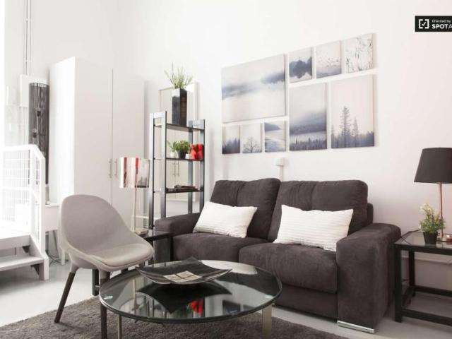 Apartamentos Madrid Madrid 97132845