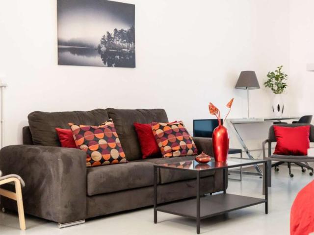 Apartamentos Madrid Madrid 97132822