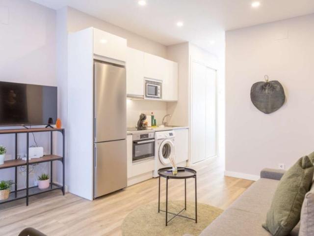 Apartamentos Madrid Madrid 97272478