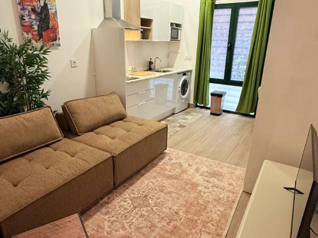 Apartamentos Madrid Madrid 97355471