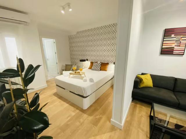 Apartamentos Madrid Madrid 97882755