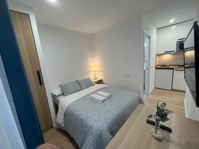 Apartamentos Madrid Madrid 99342805