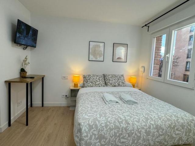 Apartamentos Madrid Madrid 99342816