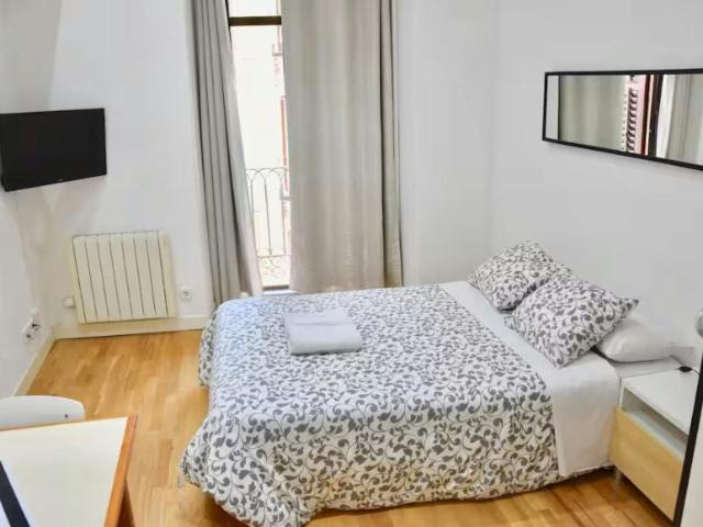 Apartamentos Madrid Madrid 99342820