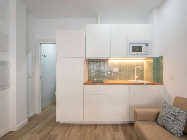 Apartamentos Madrid Madrid 99509975