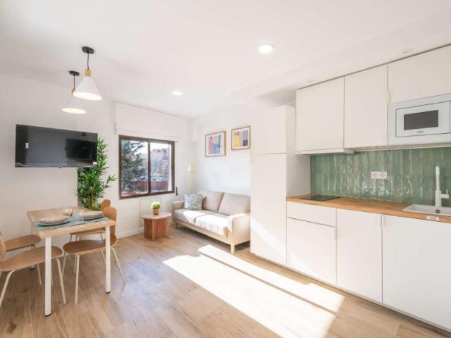 Apartamentos Madrid Madrid 99510652