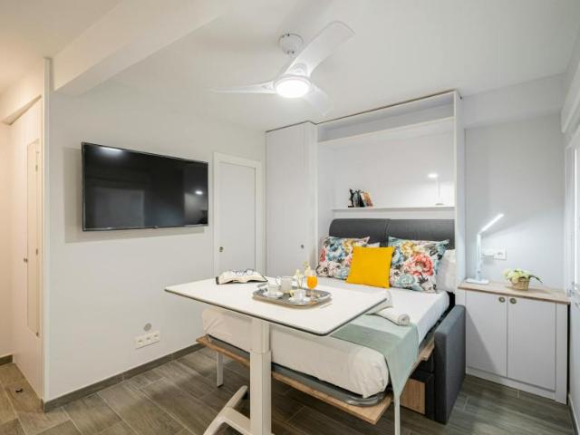 Apartamentos Madrid Madrid 99829732