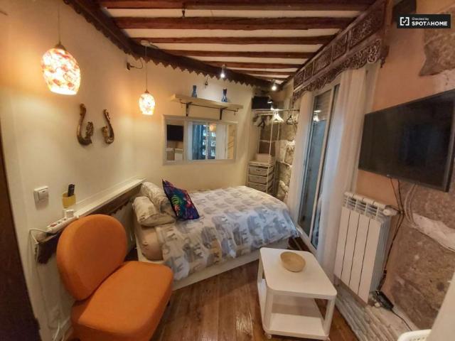 Apartamentos Madrid Madrid 100449094