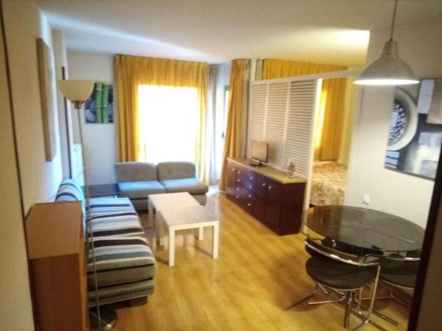 Apartamentos Madrid Madrid 100531929