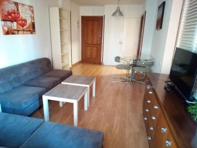 Apartamentos Madrid Madrid 100531931
