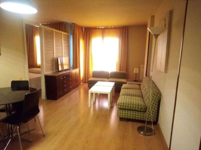 Apartamentos Madrid Madrid 100531933