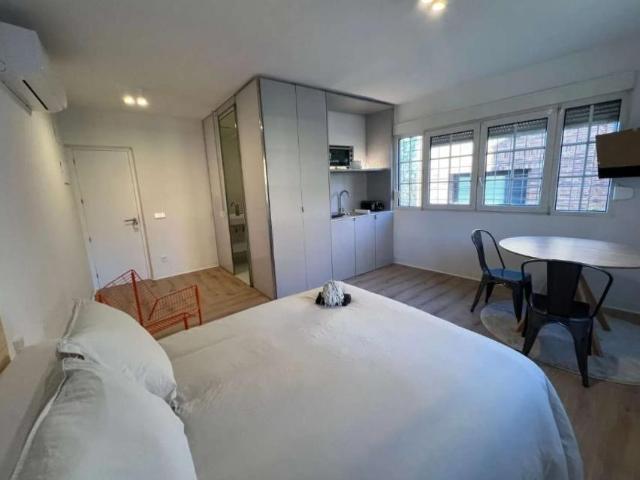 Apartamentos Madrid Madrid 100637774