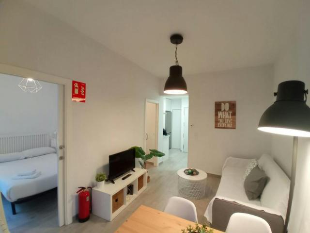 Apartamentos Madrid Madrid 100875419
