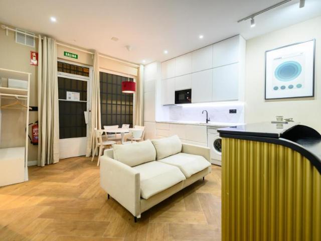 Apartamentos Madrid Madrid 100913665