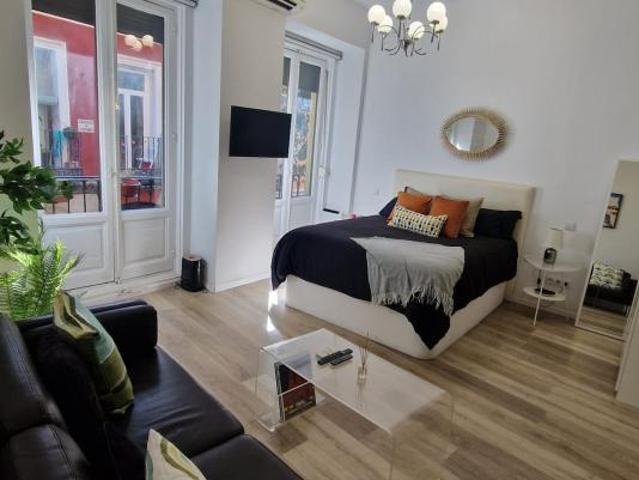 Apartamentos Madrid Madrid 100913392