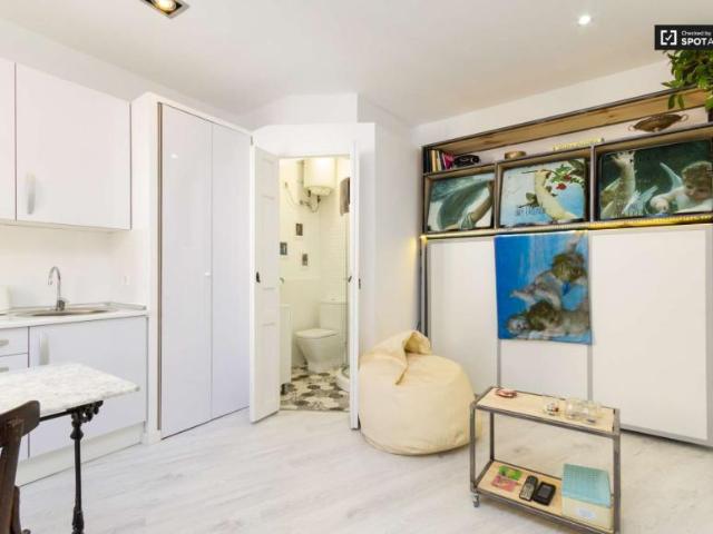 Apartamentos Madrid Madrid 100050558