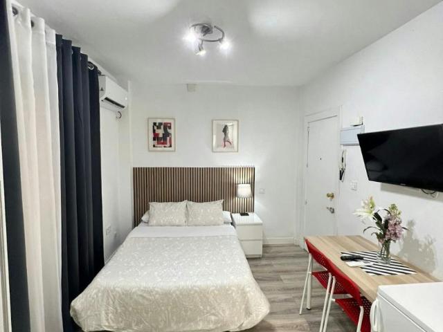 Apartamentos Madrid Madrid 100215811