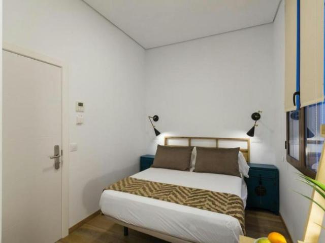 Apartamentos Madrid Madrid 101408438