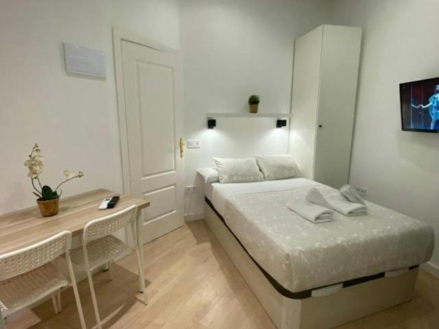 Apartamentos Madrid Madrid 101512425