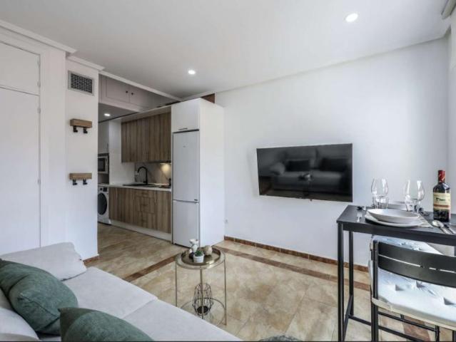 Apartamentos Madrid Madrid 101545586