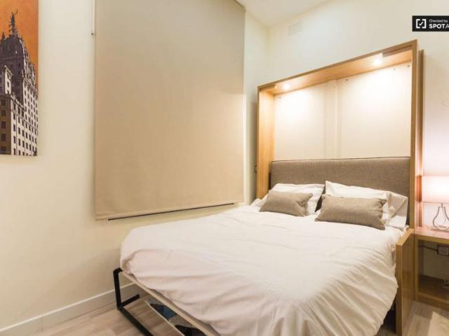 Apartamentos Madrid Madrid 101670812