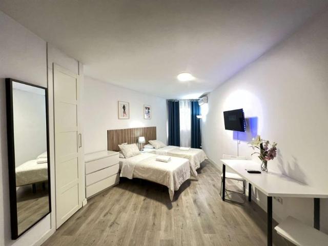 Apartamentos Madrid Madrid 101670826