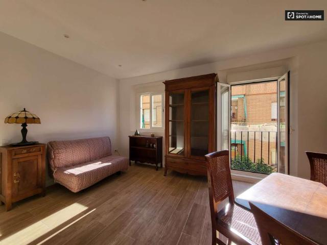 Apartamentos Madrid Madrid 101671077