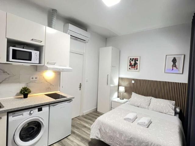 Apartamentos Madrid Madrid 101671170