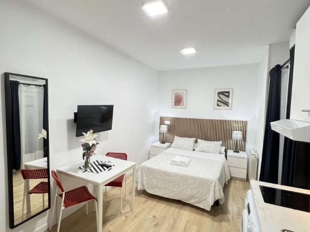 Apartamentos Madrid Madrid 101672070