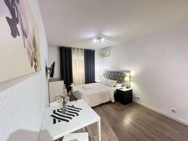 Apartamentos Madrid Madrid 101694065
