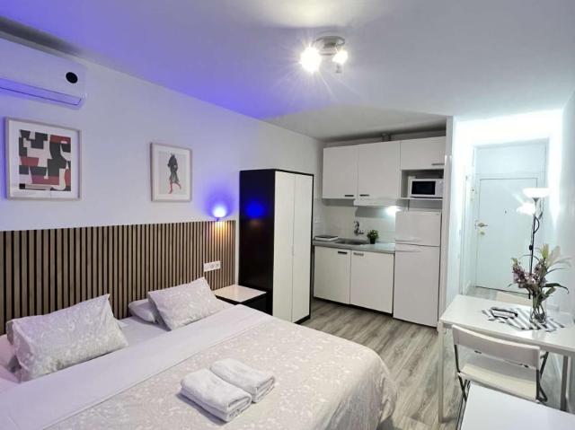Apartamentos Madrid Madrid 101730655