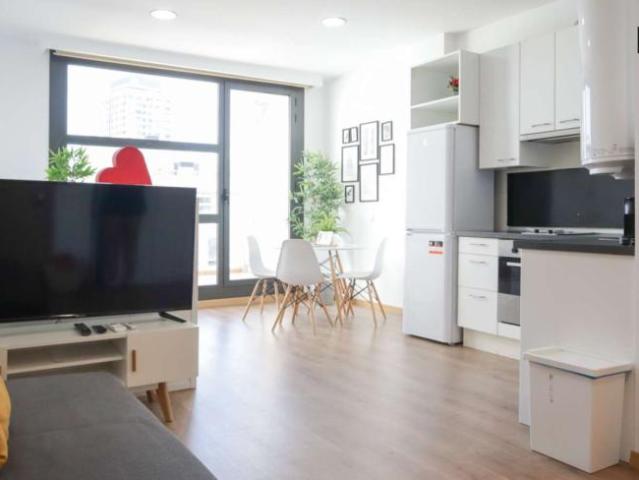 Apartamentos Madrid Madrid 101731790
