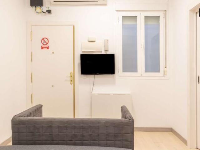 Apartamentos Madrid Madrid 101732194