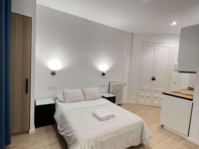 Apartamentos Madrid Madrid 101734362